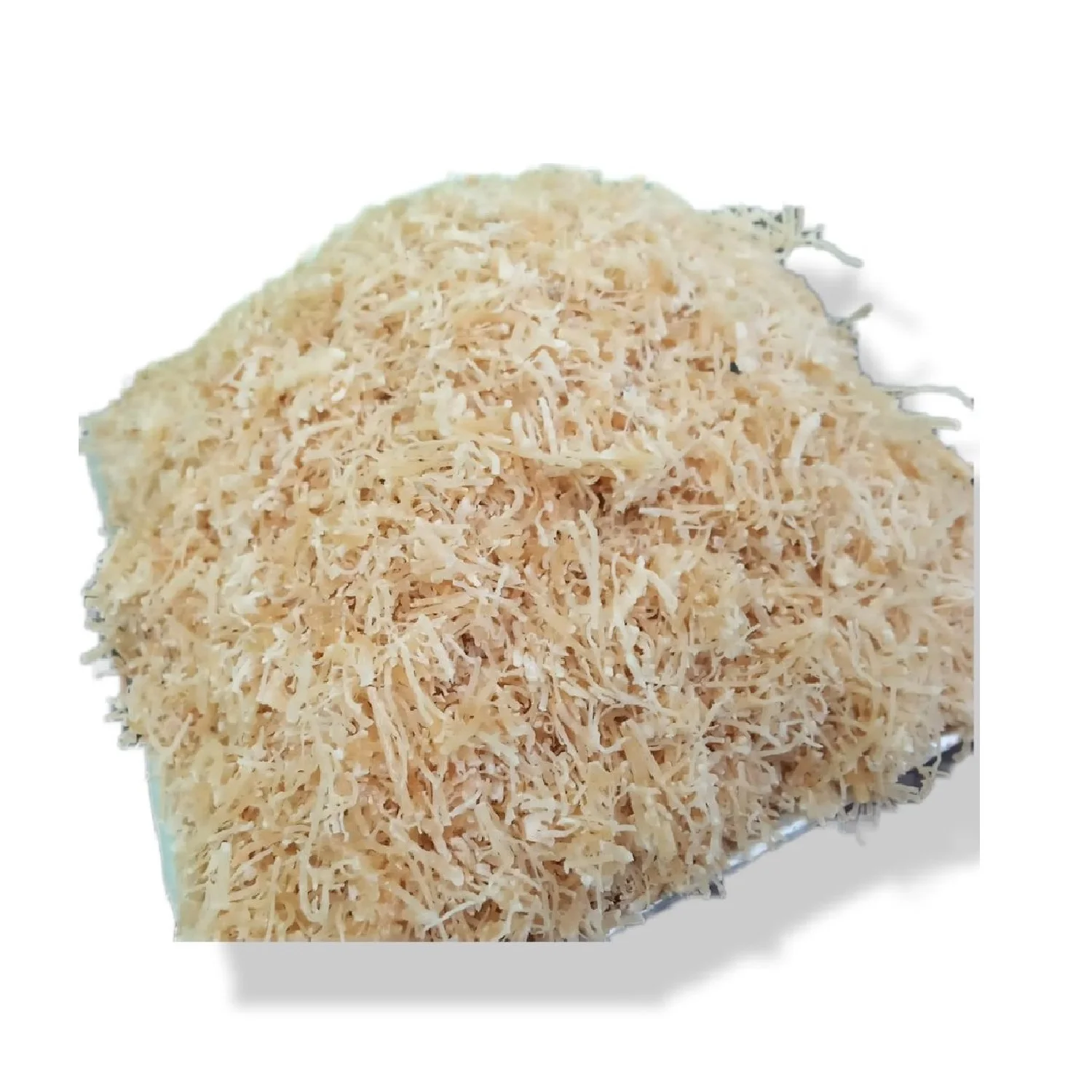 Cheap Price Sargassum High Quality Export Oriented Best Seller 2022
