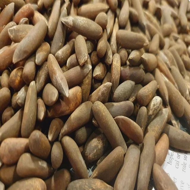 Pine Nut Chilgoza Bulk Afghan Pine Nuts Kernel Sale Best Grade And Top