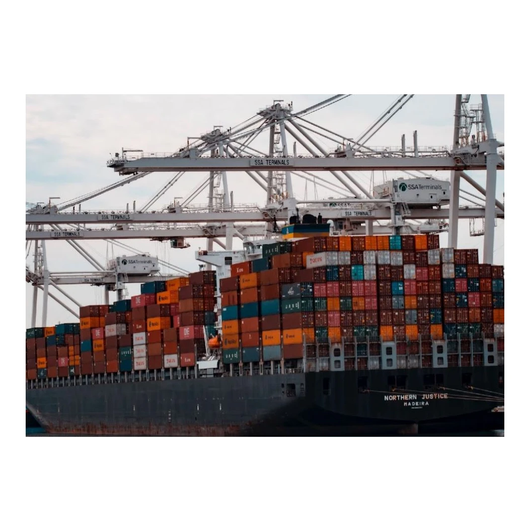 Best Selling International Sea Freight Agent Services Forwarder To
