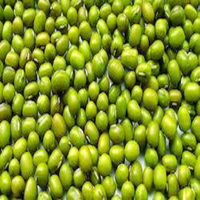 Good Quality Mung Bean Available For Export Buy Mung Beans green Mung