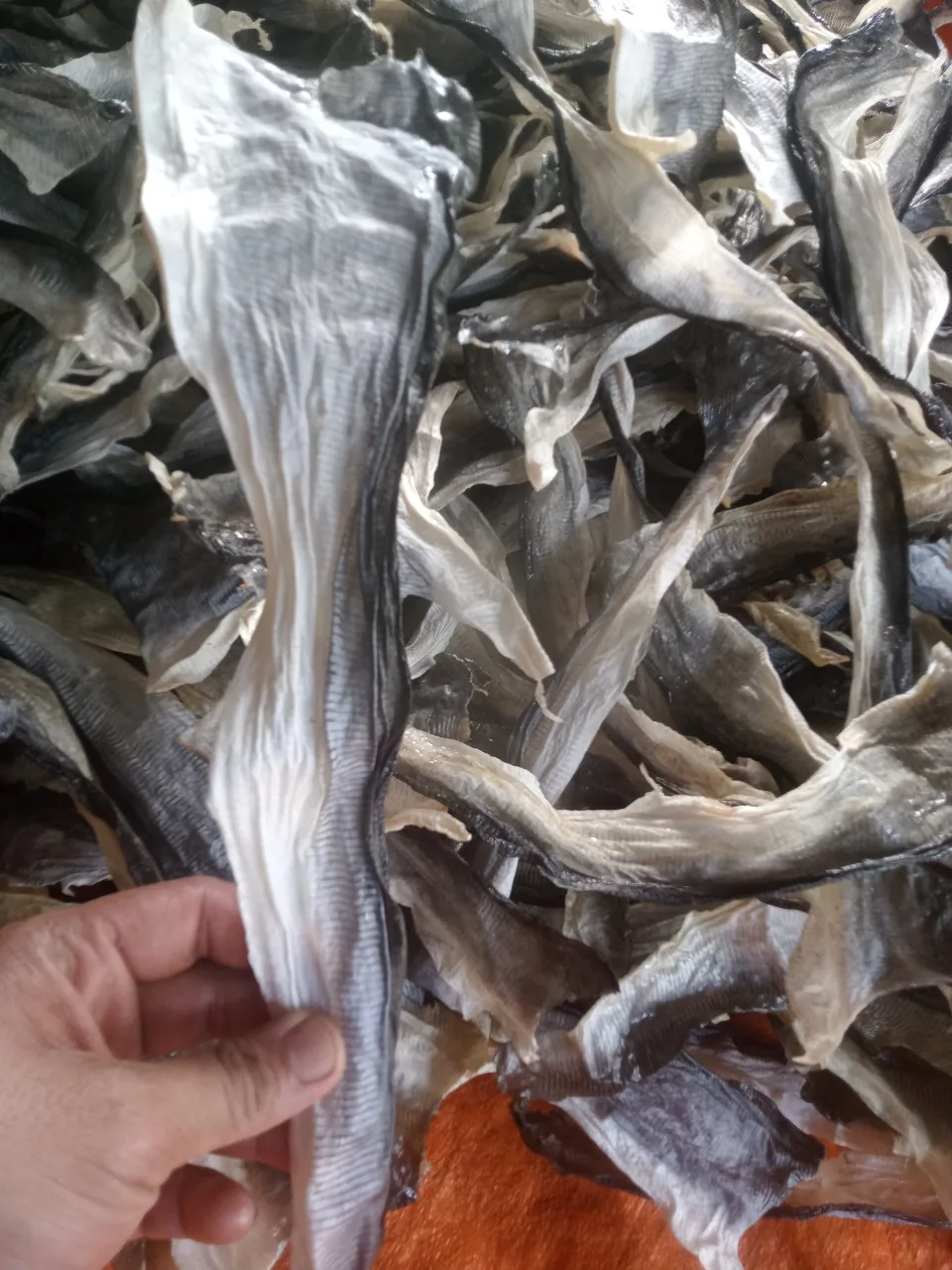 High Quality Natural Dried Basa Fish Skin Oem Dried Basa Pangacius Fish