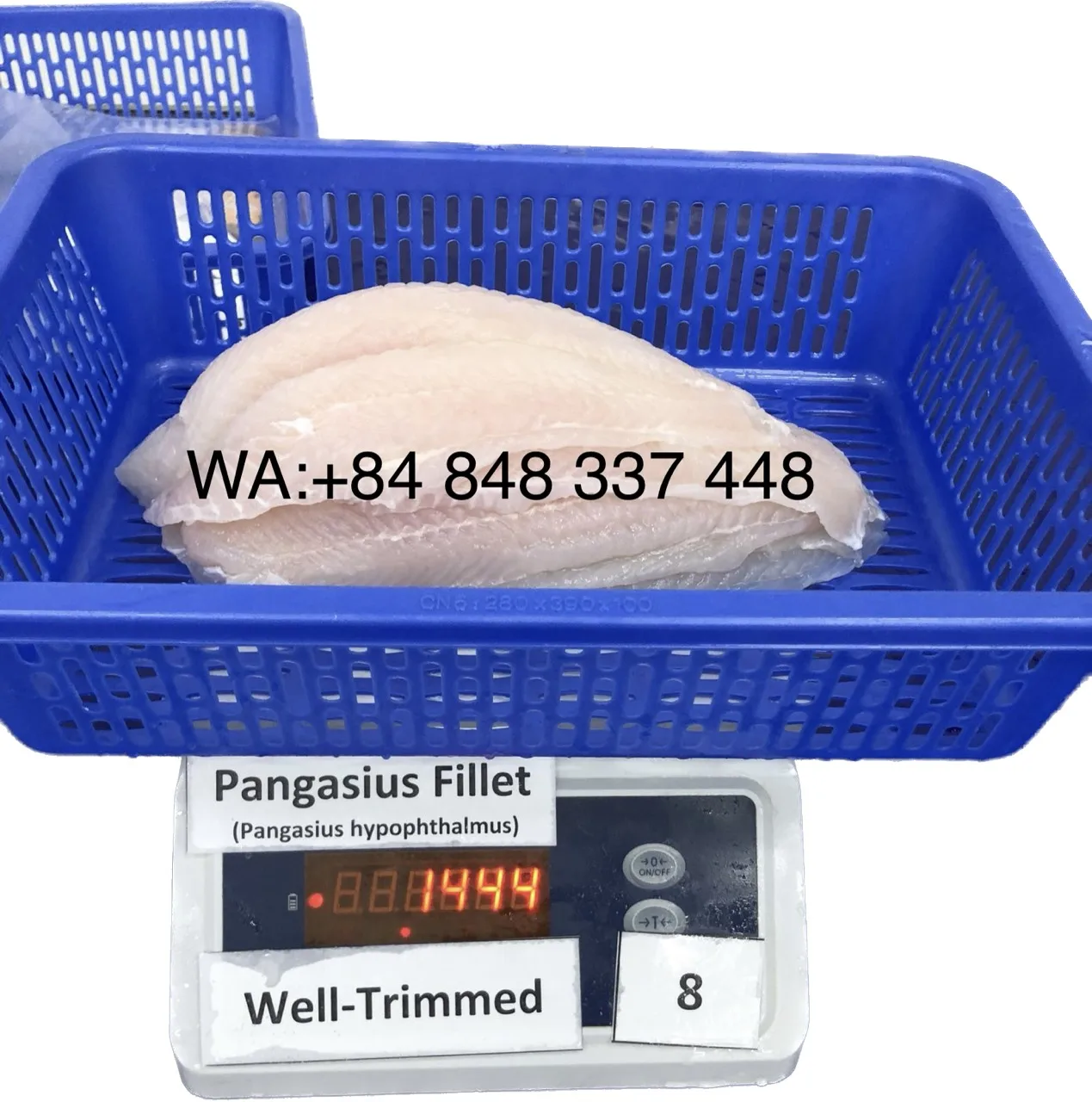 Best Price Vietnamese Basa Fish / Wa 0084 848 337 448 Buy Fish Frozen