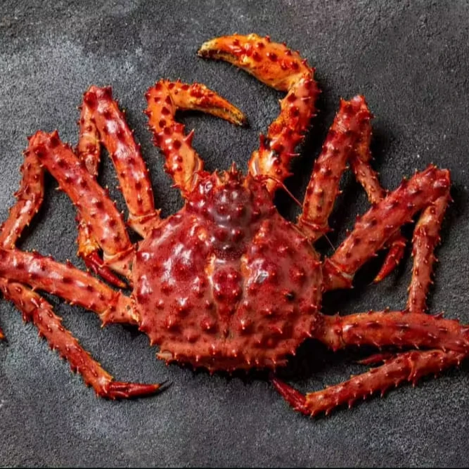 Frozen King Crabs / Live King Crab / King Crab Legs Mud Crab Fresh Best