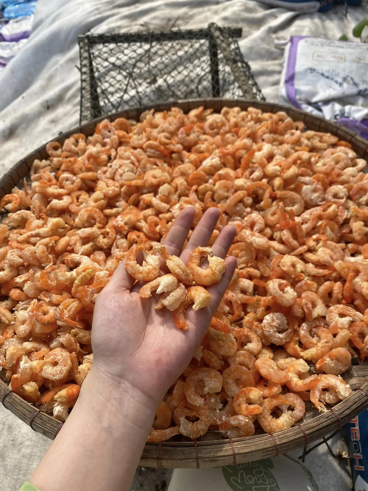 Fresh Choice Virginrefined Dried Shrimp Buy Foodstuff Items Dried