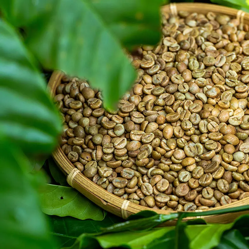 60kg Vietnam Honey Method 12.5 Max Organic Agriculture Robusta S18