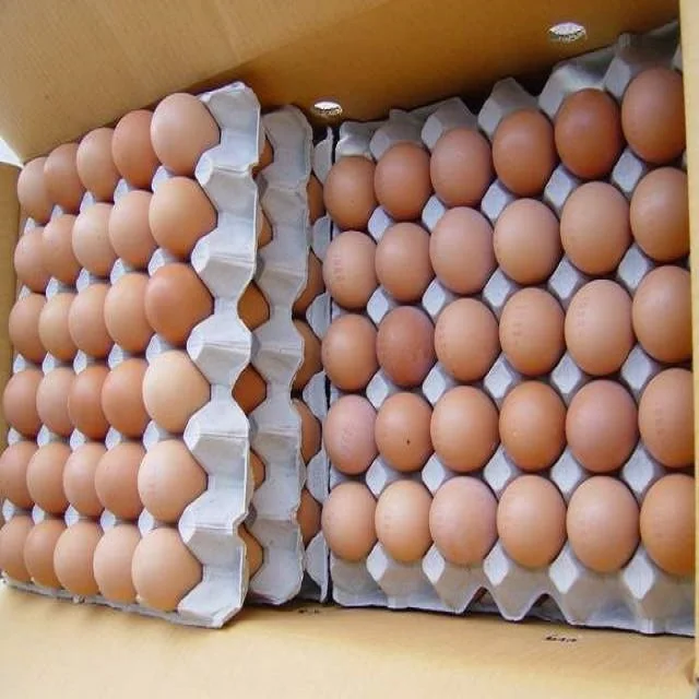 Fresh Chicken Eggs / Round Table Eggs For Sale / Fertile Hatching Eggs