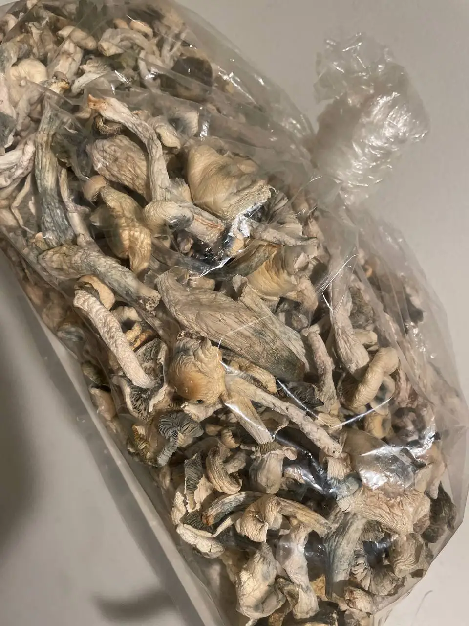 Armillaria Mellea/zhen Mo Dried Armillaria Mellea Mushroom Supply Honey