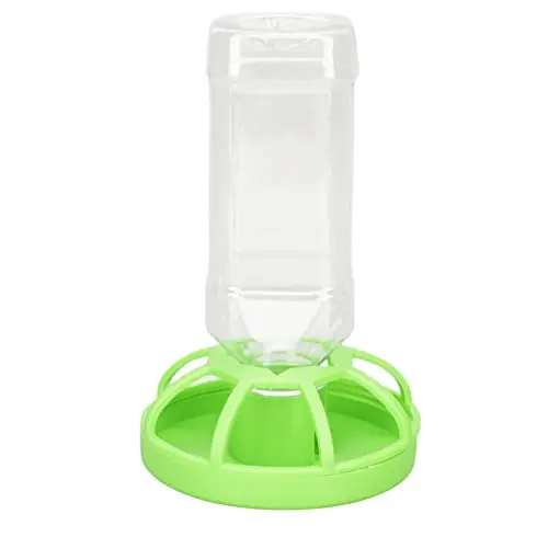Reptile Water Feeder