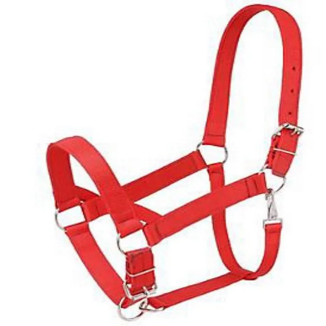Handmade Nylon Horse Halter Made Of Durable Heavy Nylon Double Stitched With Snap At Throat