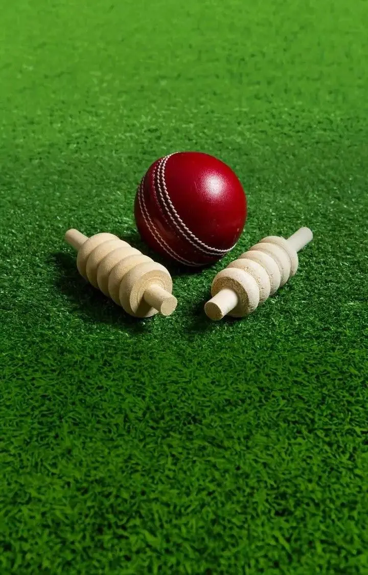 Cricket Leather Match Ball For Adults Cricket Ball Test One Day And T