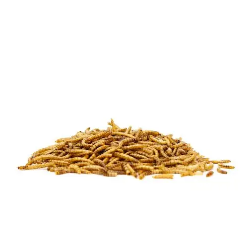 Best Quality Dried Live Mealworms For Animal Feed Buy Dried Mealworm,Live Mealworm Cheap Price