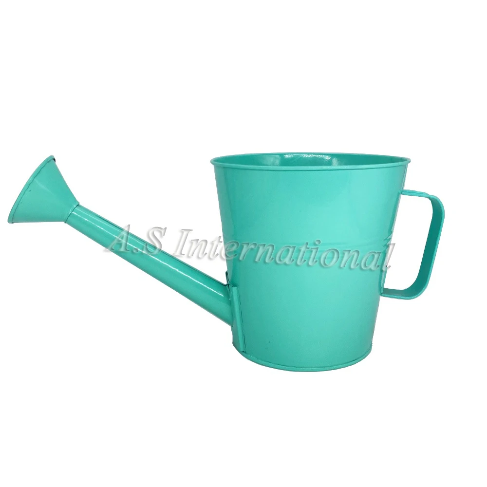 Hotsale 1 Liter Garden Water Cans Galvanized Metal Watering Can With