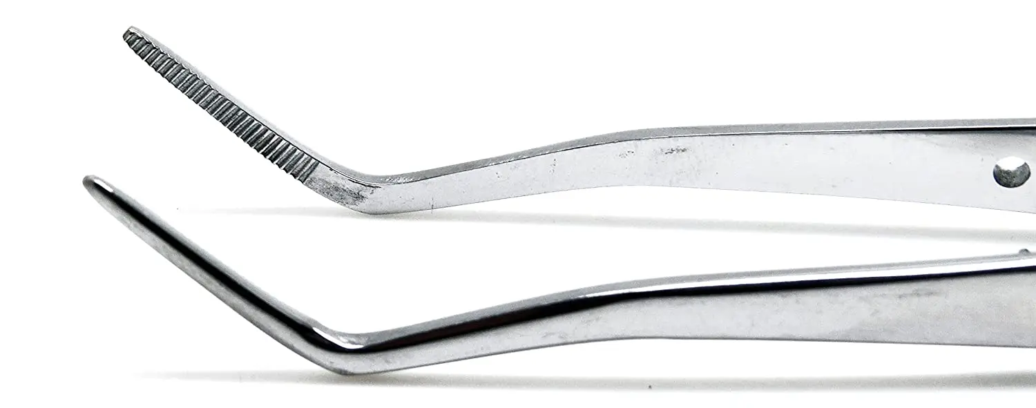 Cotton College Forceps Stainless Steel Dental Orthodontic Instruments