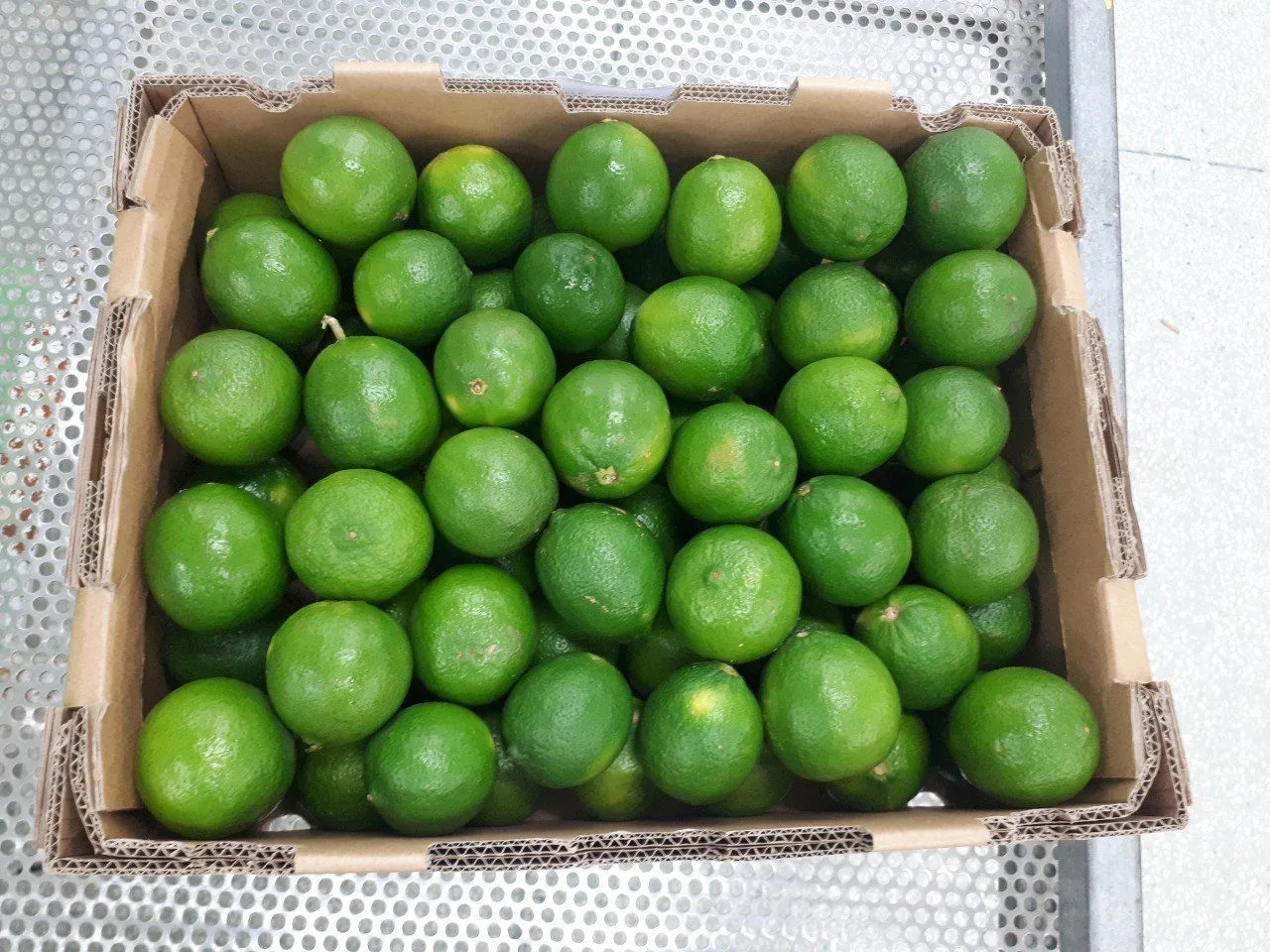 Vietnam Fresh Seedless Lime/ Lemon For High Quality - Ms. Caryln ...