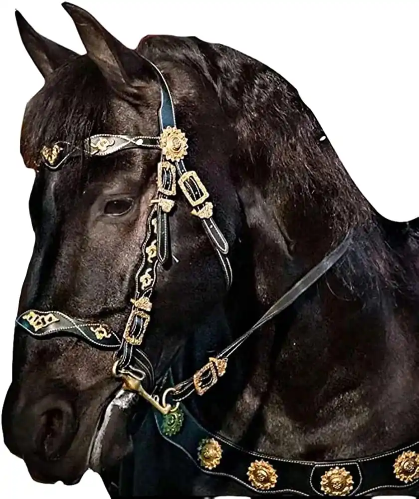 Western Baroque Horse Bridle & Breastplate Medieval Horse Tack Drum ...