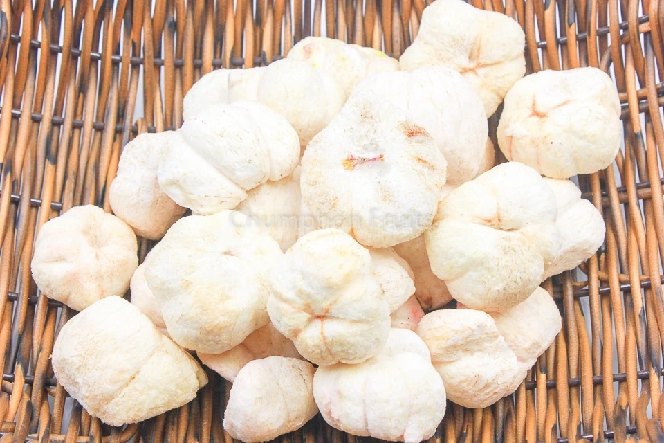 Premium Freeze Dried Mangosteen From Thailand Buy Fruit Dried Fruits