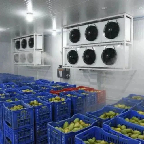 Customized Automatic Warehouse Storage Equipment For Fruits And