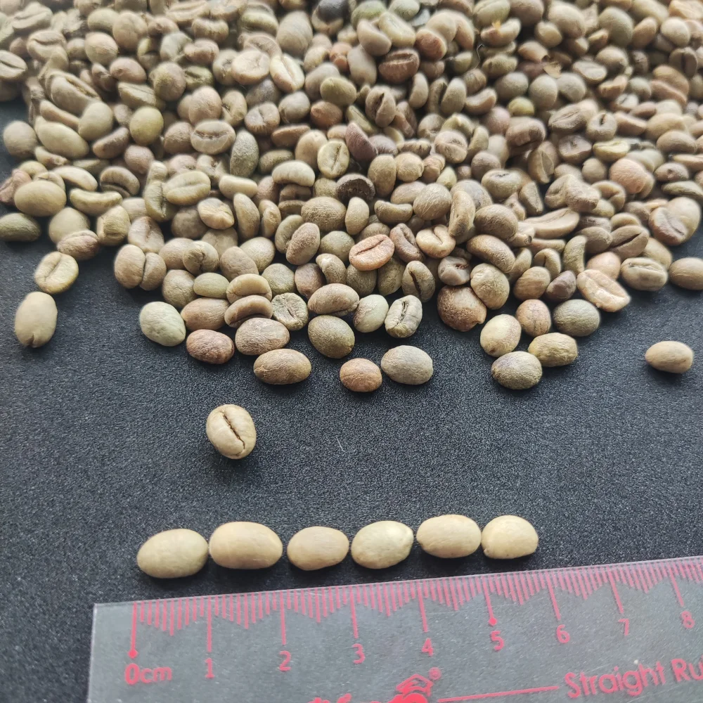 Best Price Vietnamese Coffee Beans For Iced Reference: Vietnamese Coffee Beans Best Price For Arabica Robusta