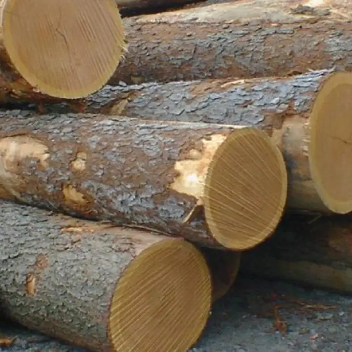 High Quality Sawn Teak Wood Pine Logs Wood For Sale Buy Siberian Pine