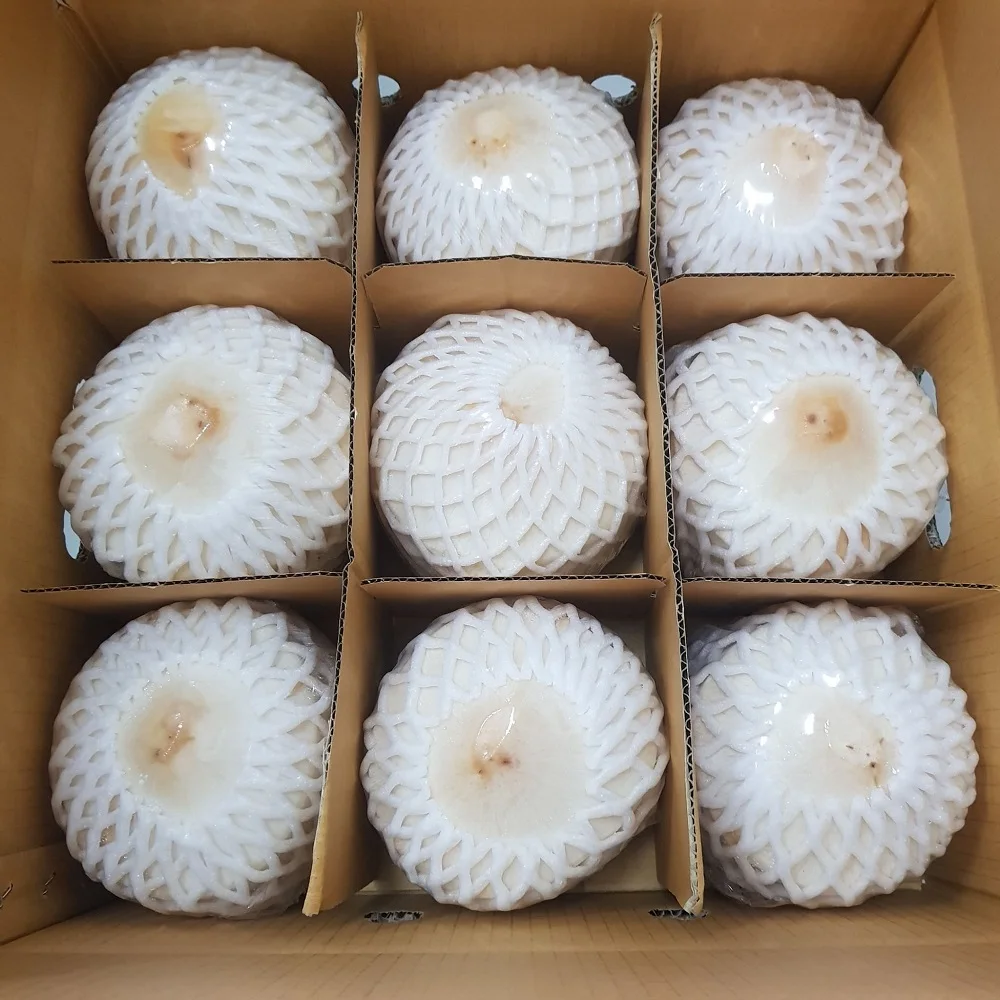 Best Seller Fresh Young Coconut Sweet Tropical Fruit Premium Grade
