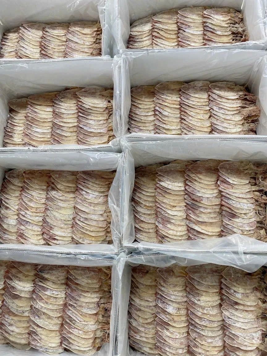 Dried Thin Squids Sotong Kering Nipis With 2 Year Shelf Life Chiller Storage// Many Sizes Dried