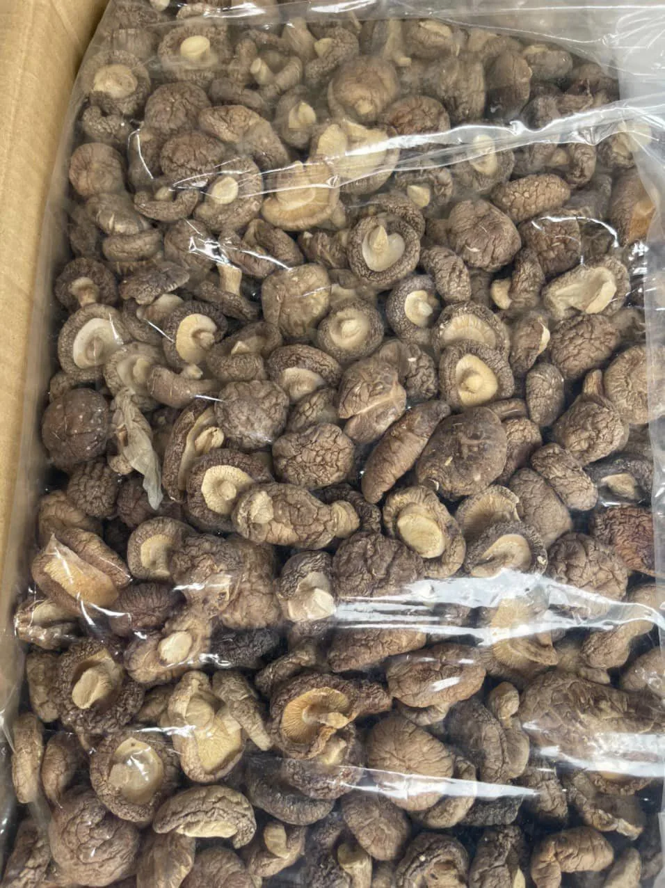 Wholesale Dried Shiitake Mushroom Prices Shiitake Mushroom Buy