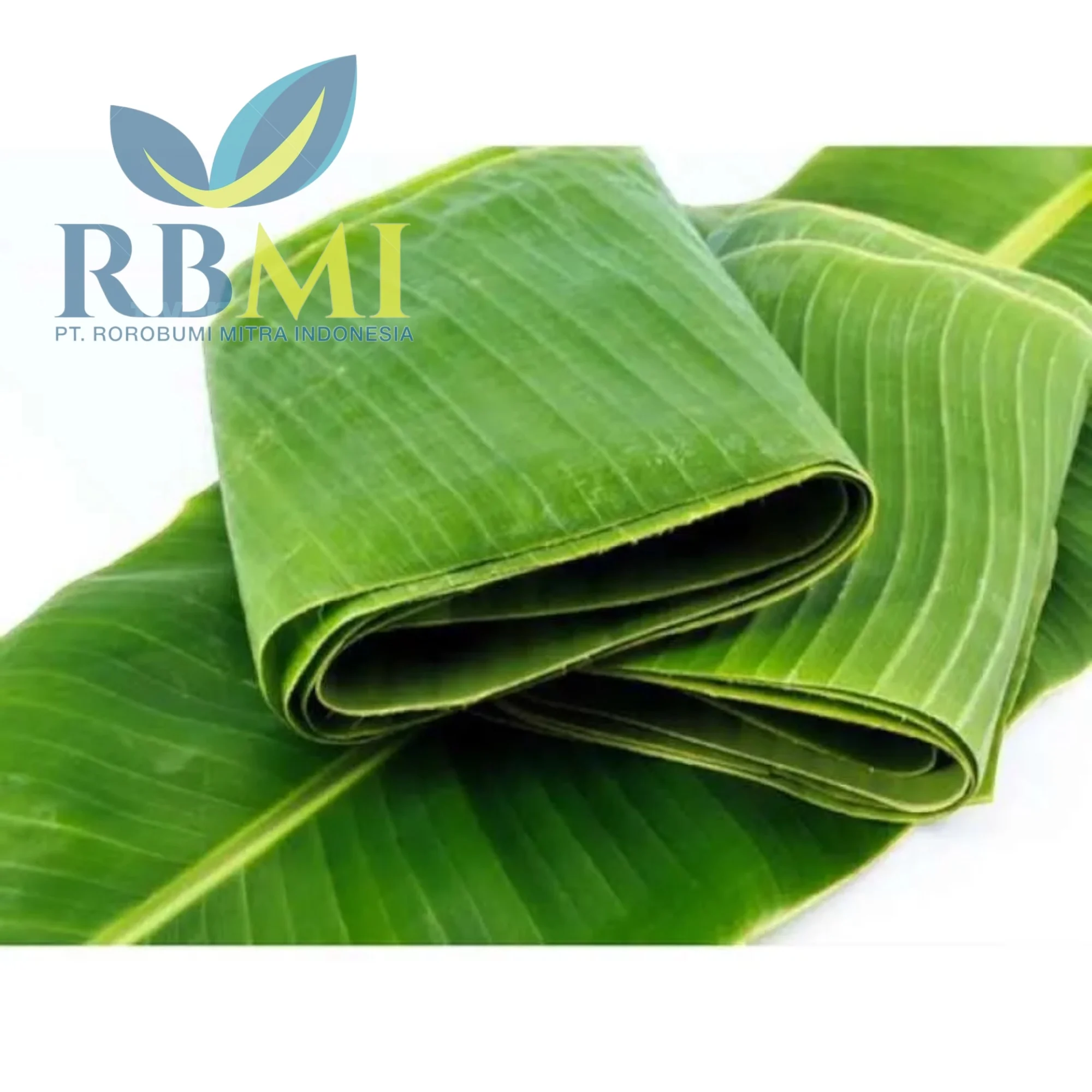 Banana Leaves Great Quality Fresh Banana Leaf 100% Natural High Quality ...