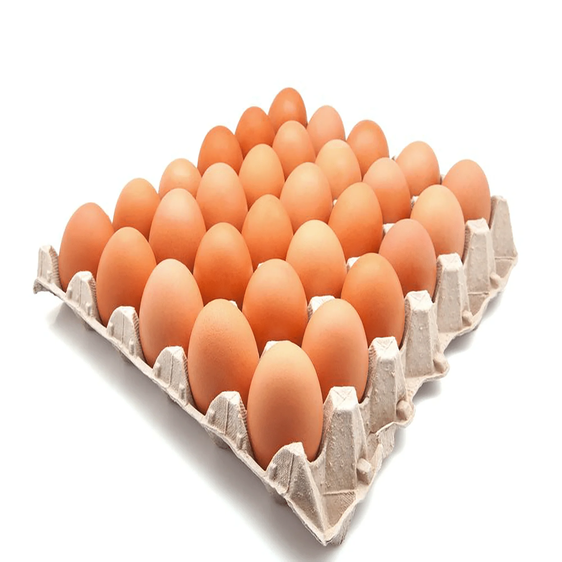 Fresh Chicken Table Eggs & Fertilized Hatching Eggs - Buy Fresh Eggs