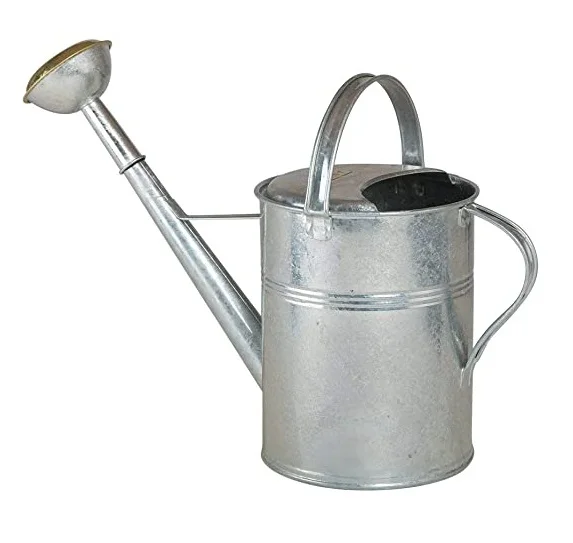 Modern Design Galvanized Plants Water Serving Watering Can With Fancy