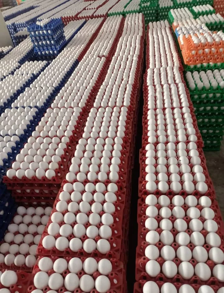 Fresh Chicken Table Eggs Brown And White Fresh Brown White Table Eggs