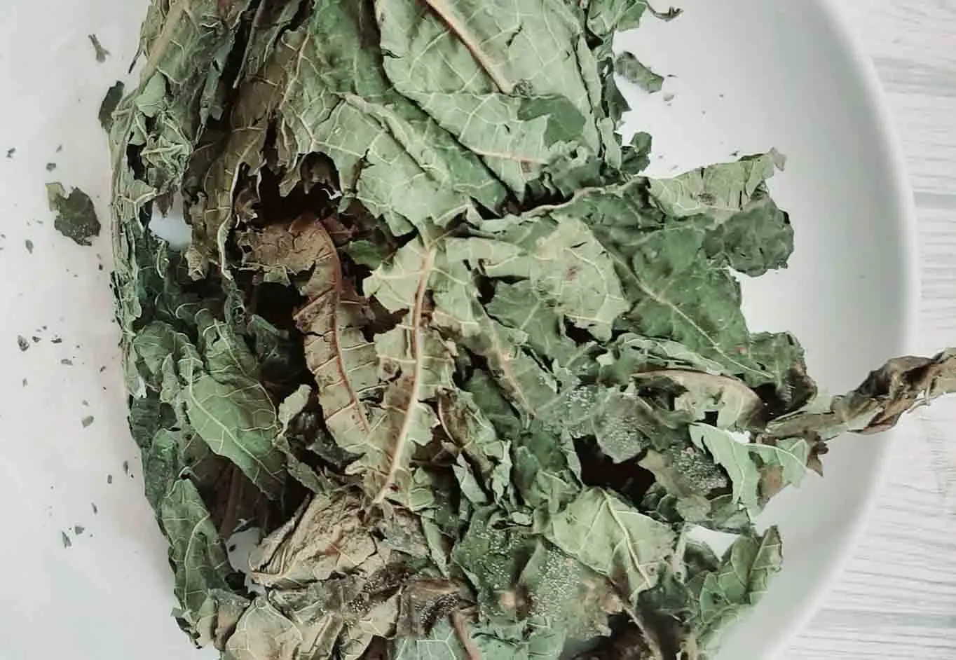 Mass Production Of Dried Papaya Leaves In Vietnam / Holiday Buy Dried Papaya Leaf Tea Made In
