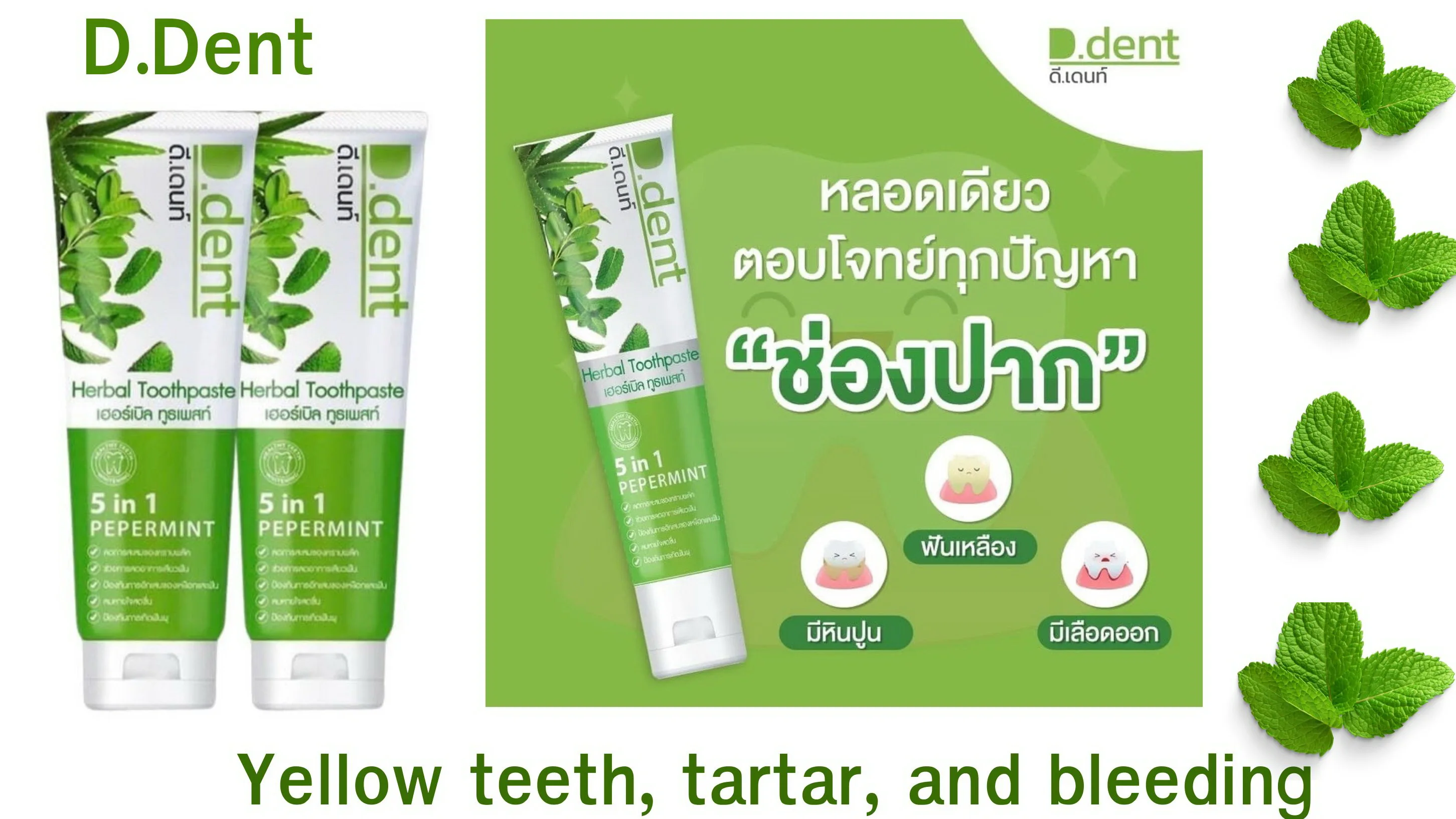 Thai Herbal Toothpaste Brand D - Dent Popular Hot Sell Activated ...