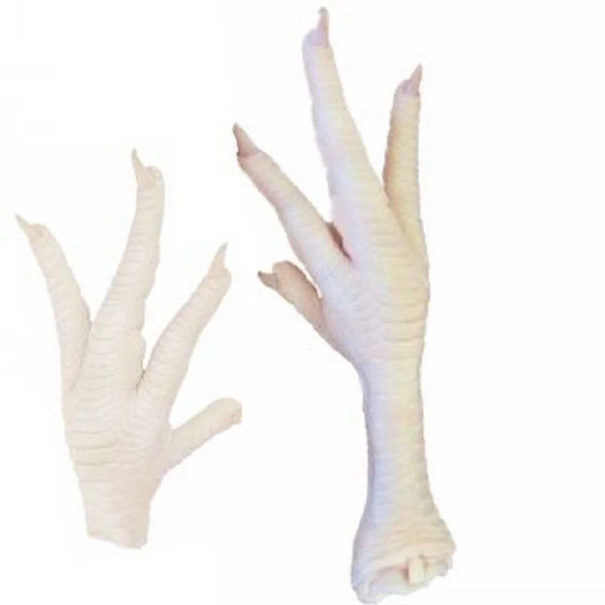 High Quality Frozen Chicken Feet Chicken Paws For Sale / 100 Fresh Frozen Chicken Feet Buy