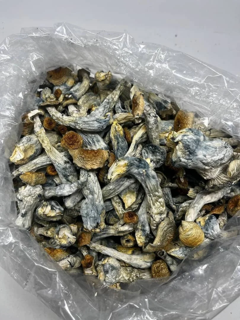 Detan Dry Morel Mushrooms With Vitaminrich Collagen Chinese Morel