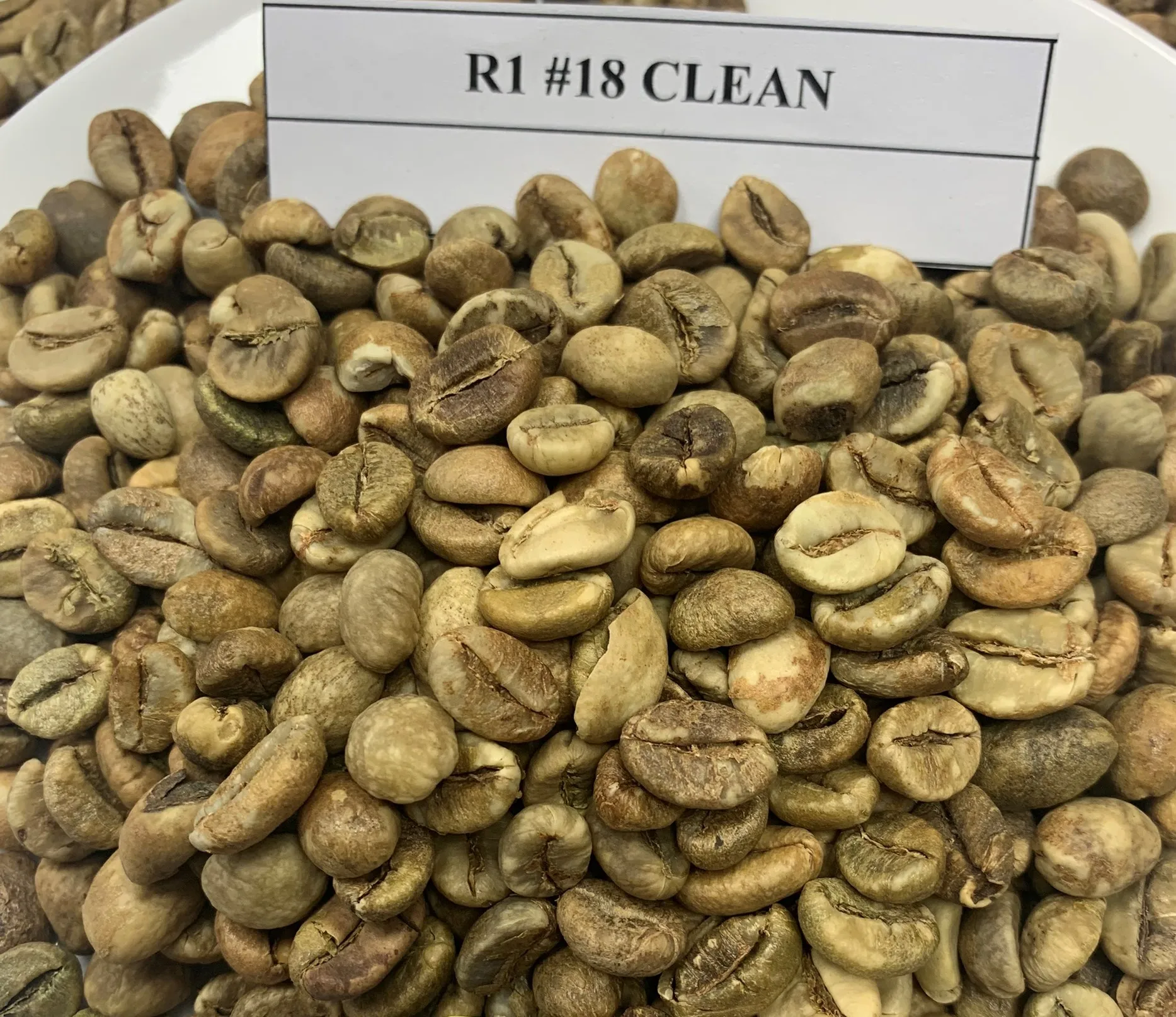 (free Sample) Raw Coffee Beans Coffee Beans Arabica Robusta Roasted ...