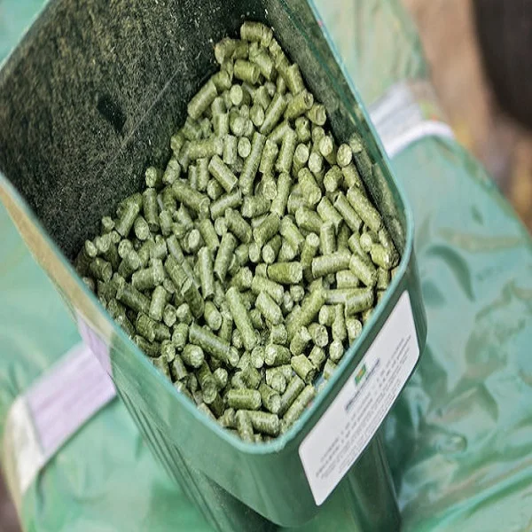 Alfalfa Hay,Buy Alfalfa Hay Bales,Alfalfa Hay Pellets High Quality
