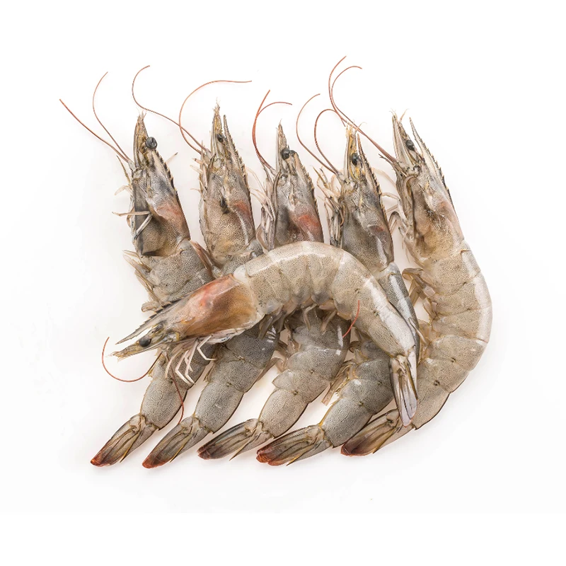 Wholesale Bulk Packaging Fresh Seafood Healthy Food Freshwater Live