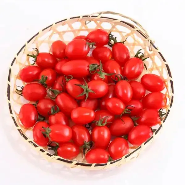 Canned Cherry Tomatoes From Thailand With Competitive Price In Stock ...