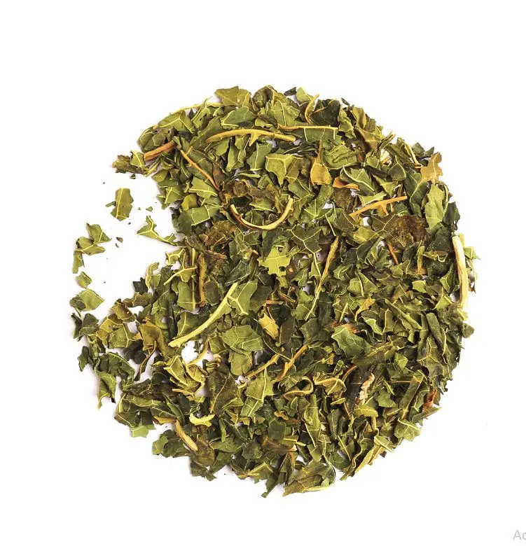 High Quality Vietnam Dried Papaya Leaves Raw Pawpaw Leaves Natural