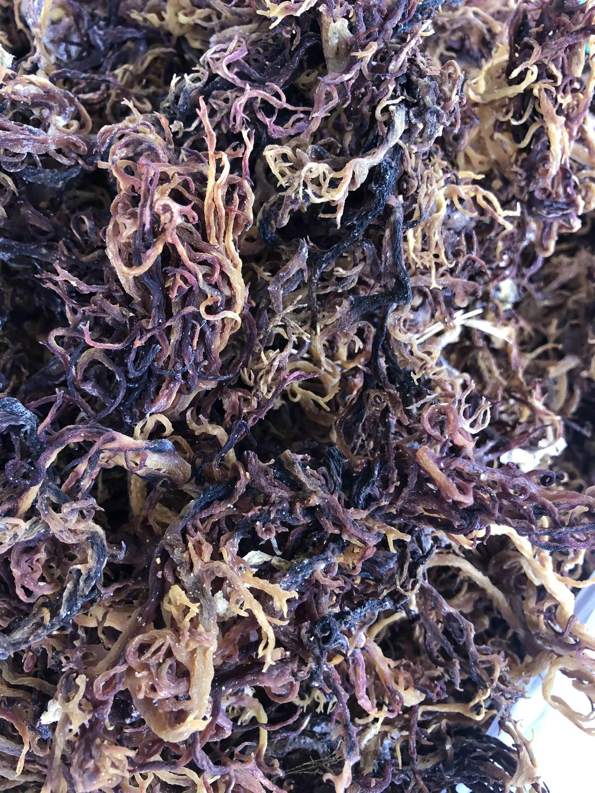 Customization Logo Purple Sea Mossirish Mossdried Seaweed From Vietnam Supplier 100 Natural 0685