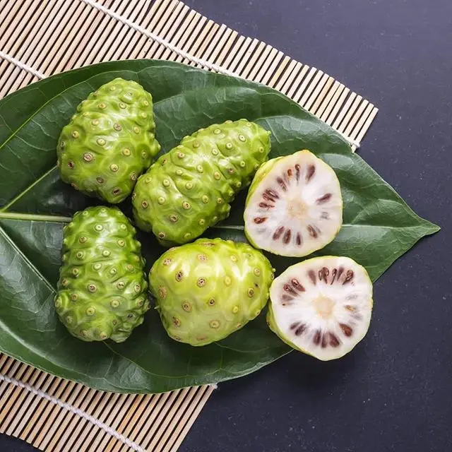 Wholesale Frozen Fresh Noni Fruit Bulk High Quality Buy Frozen Noni