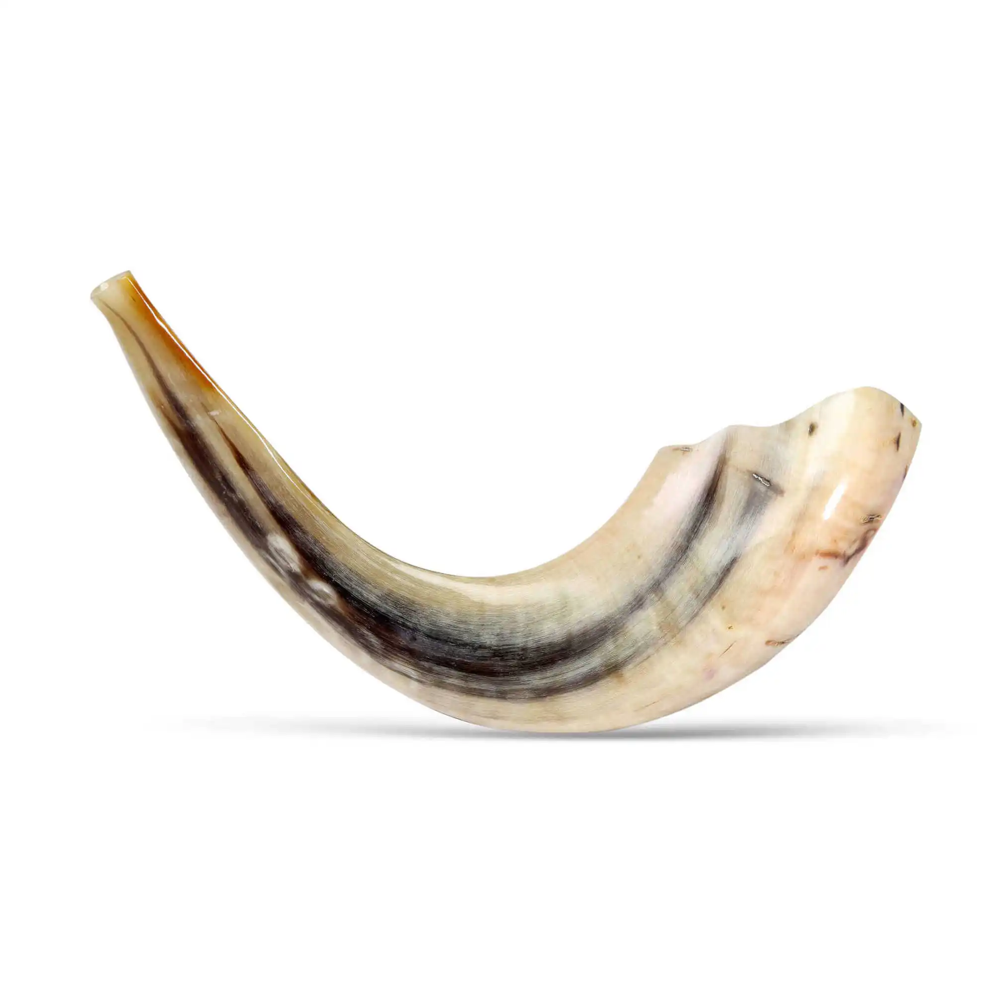 Wholesale Polished Shofar Genuine Natural Ram Horn Shofar For Sale Horn ...