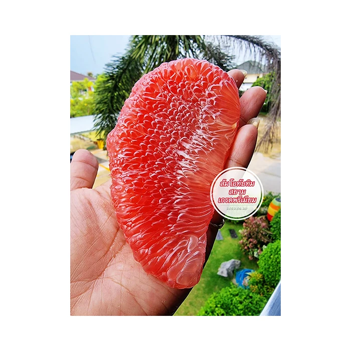Best And Premium Grade Of Siam Ruby Red Pomelo From Thailand Fresh