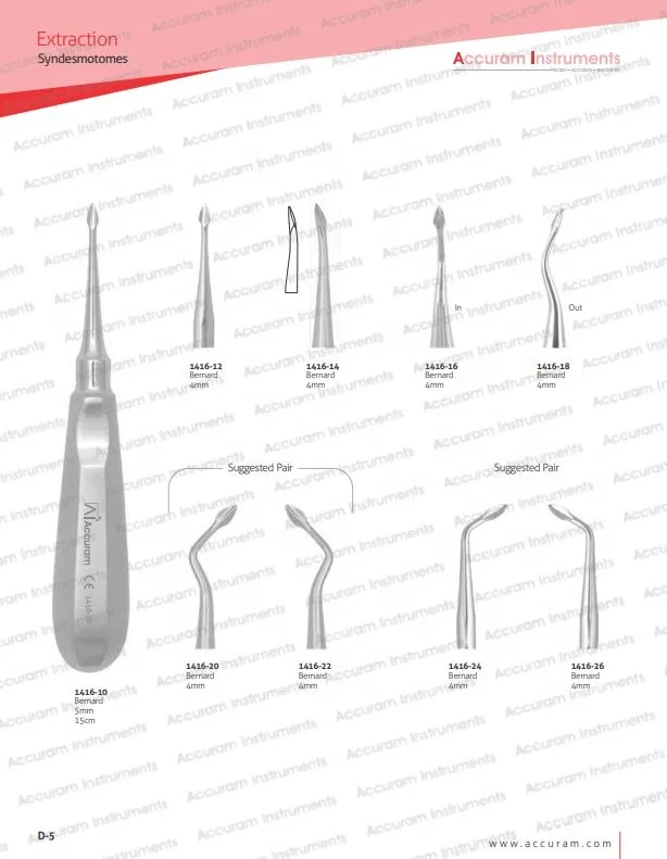 Dental Bernard Elevators Right With 5 Handle Options Elevators