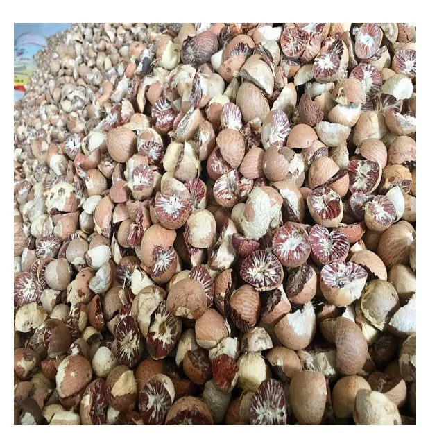 Areca Nut/ Betel Nut Export From Viet Nam Sophie Buy Areca Nut/ Betel Nut Export From Viet Nam