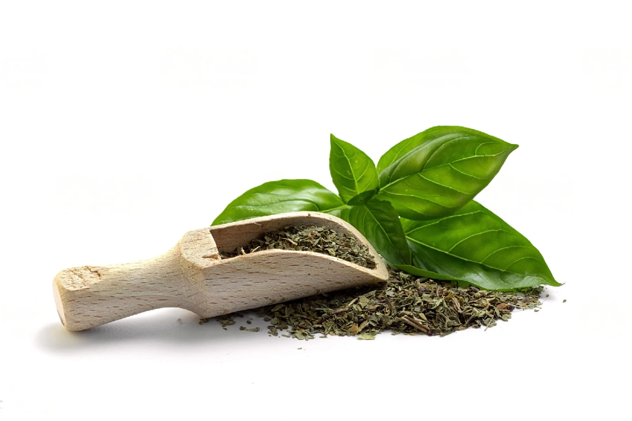 Fresh Clean And High Quality Green Tea 1000 Years Indian Special