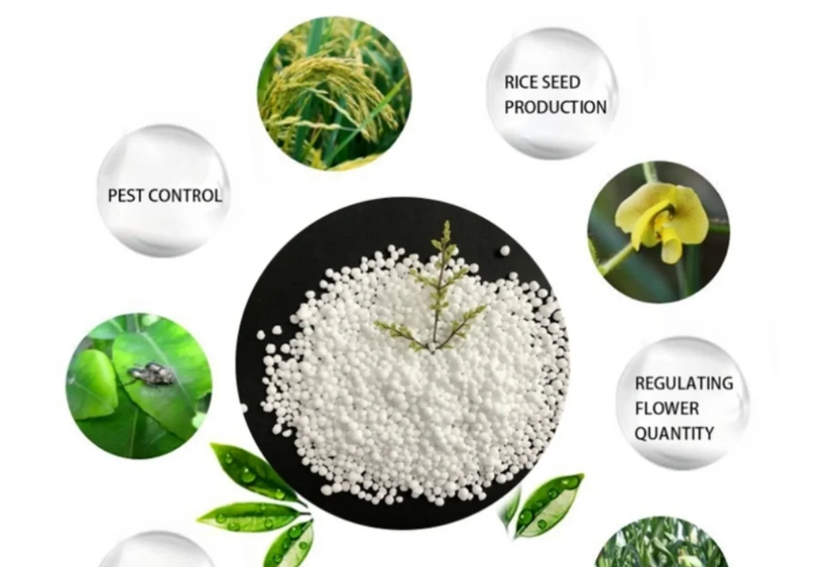 Fertilizer Map Ammofos Urea Nitrogen Ammonium Dihydrogen Phosphate Map ...