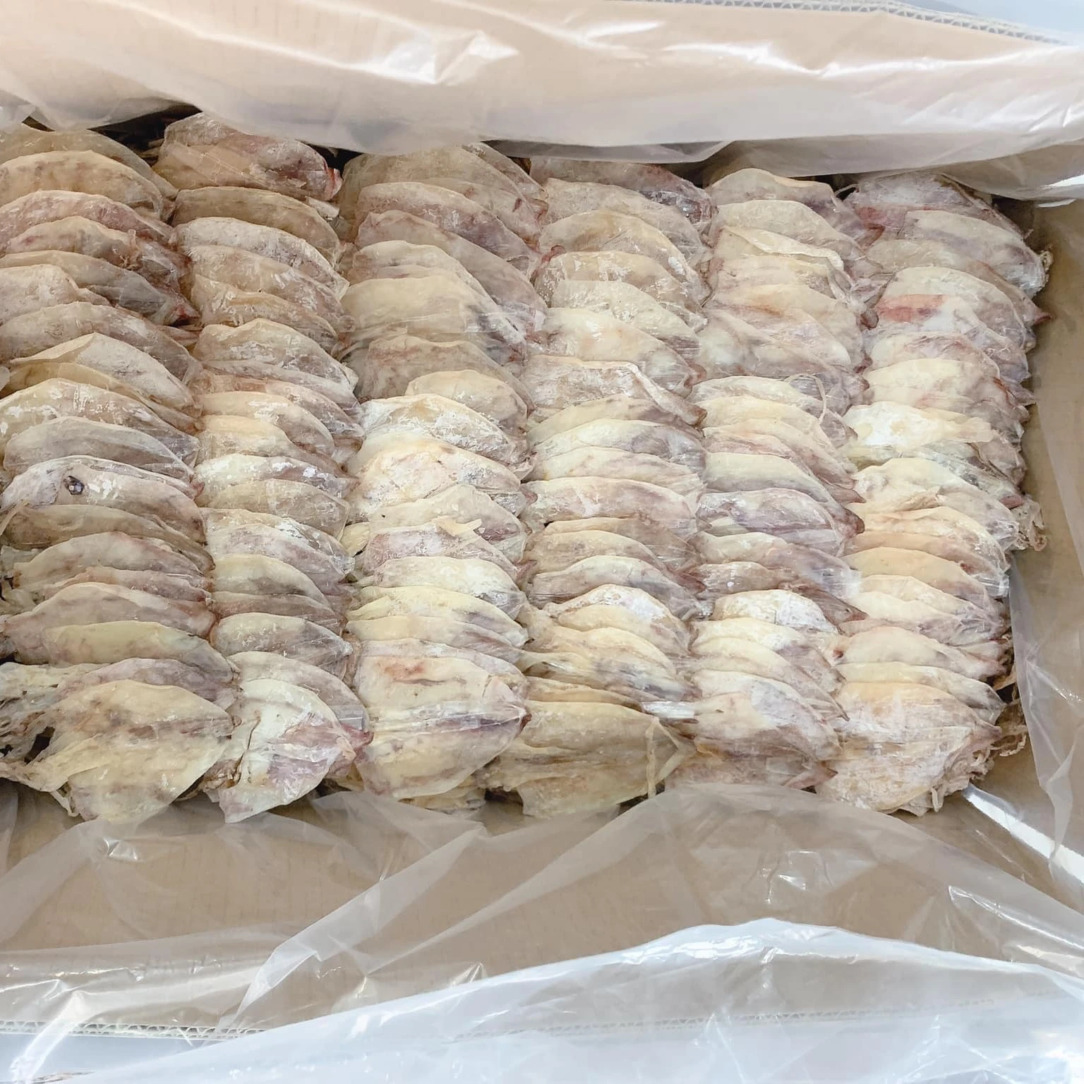 Dried Squid Seafood Wholesale High Quality Dried Squid Available With