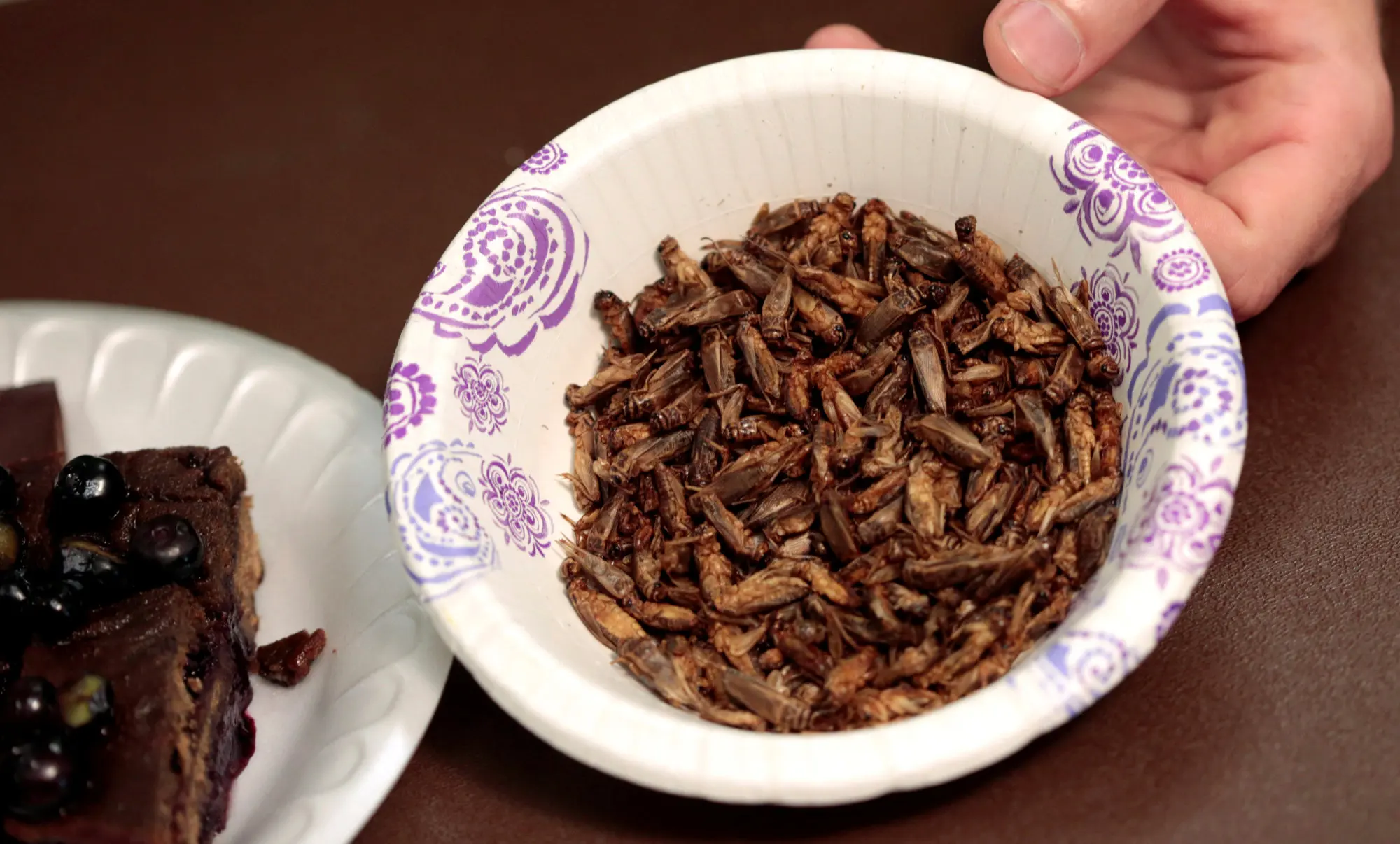 Dried Mealworm Crickets Freeze Crispy Crickets Dried Crickets With Bulk