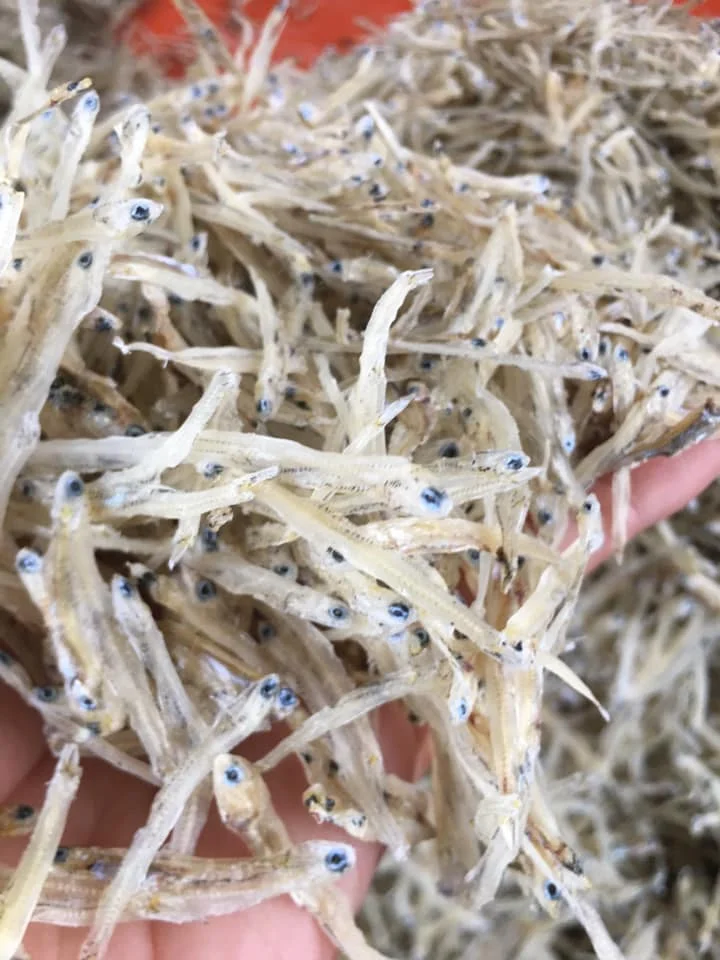 Dried Anchovy Seafood Japanese Anchovy,Dried White Anchovy Fish For